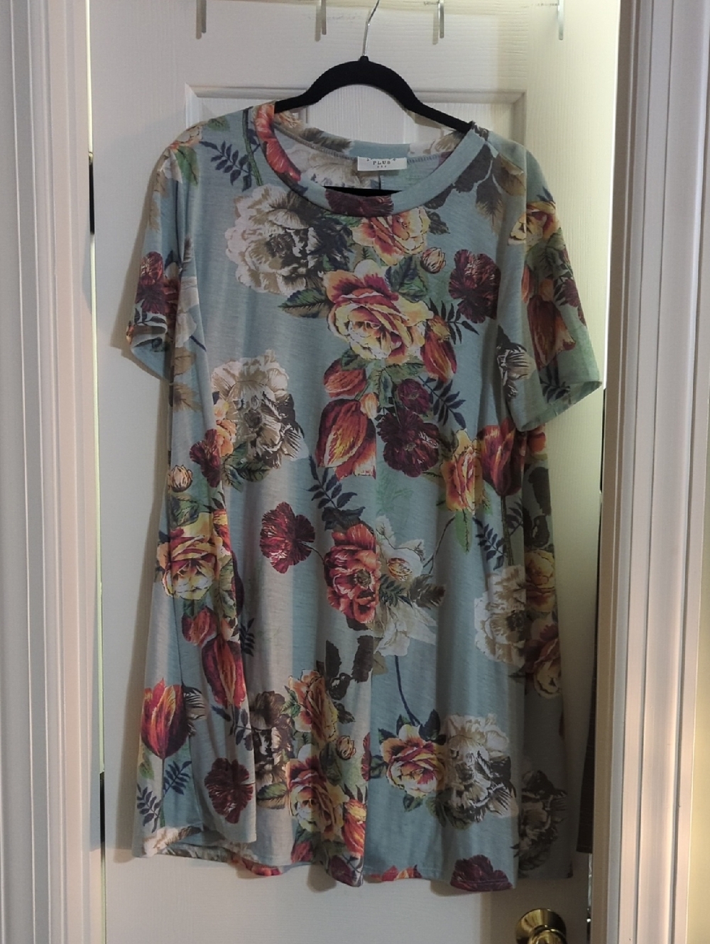 Janette Plus Sky Blue Floral Tee Dress